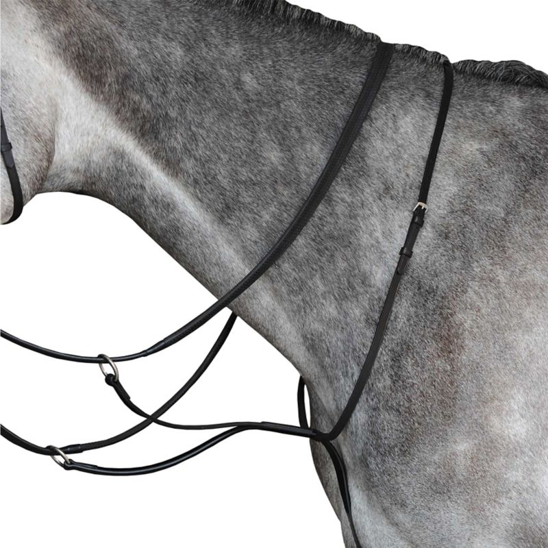 Collegiate Running Martingale Pony Black