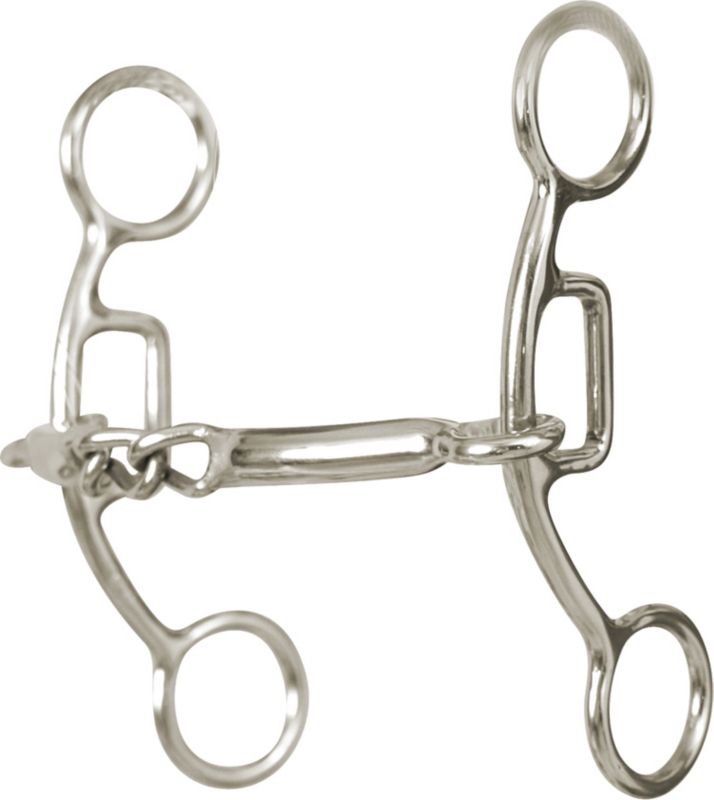 Carol Goostree Chain Snaffle Delight Bit Bit 5in