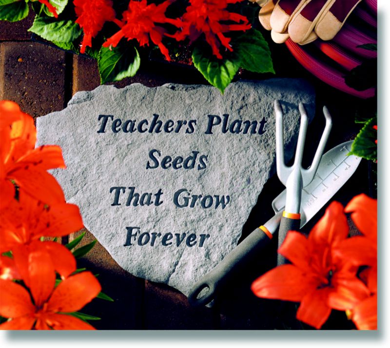 Stepping Stone- Teachers plant the seeds