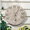 Fossil Sumac Thermometer Clock