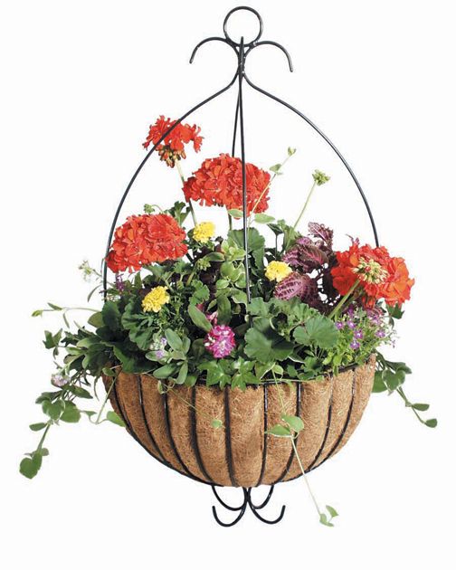14 Inch. Euro Hanging Planter - Garden.com