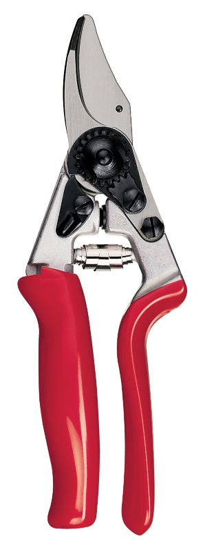 Felco Pruner