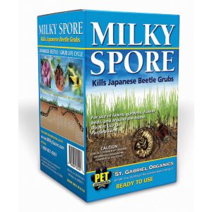 milky spore home depot