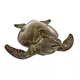 Achla Designs Sea Turtle Statue