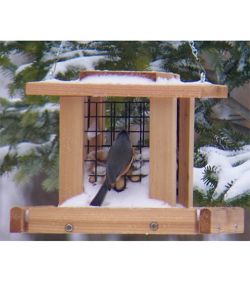 Stovall Wood Smaller Whole Peanut Feeder Dog Com