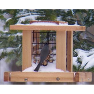 Stovall Wood Smaller Whole Peanut Feeder 1800petsupplies Com