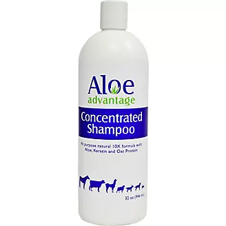 Aloe Advantage Concentrated Shampoo 10X Qt