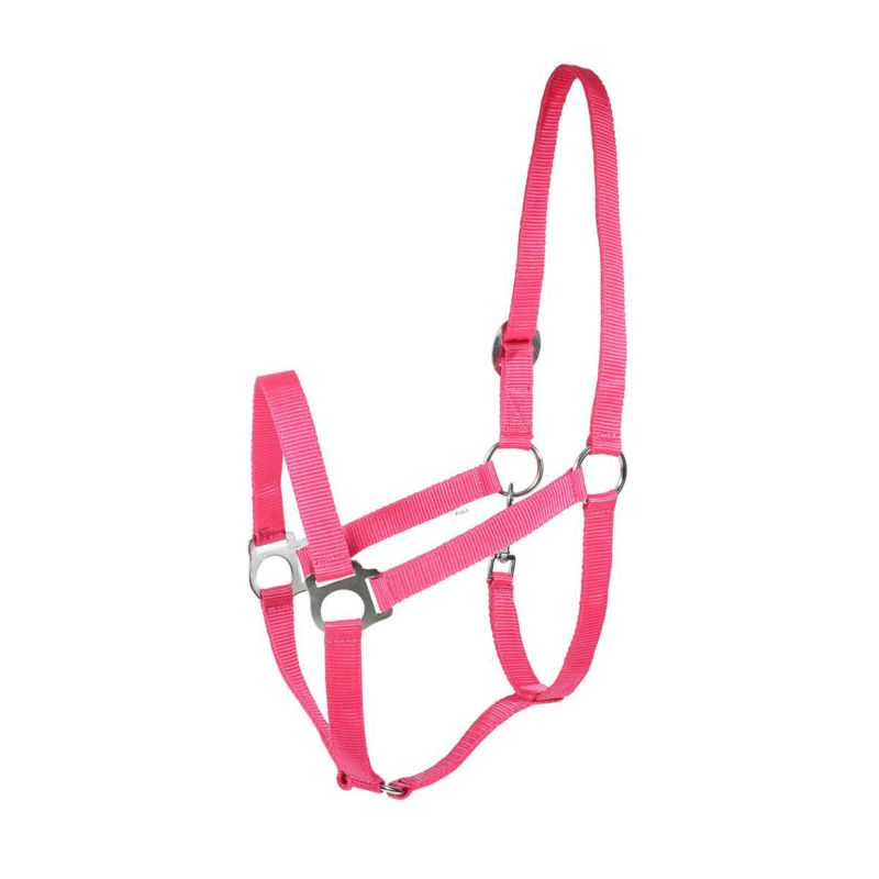 Horze Basic Halter Cob Raspberry Pink