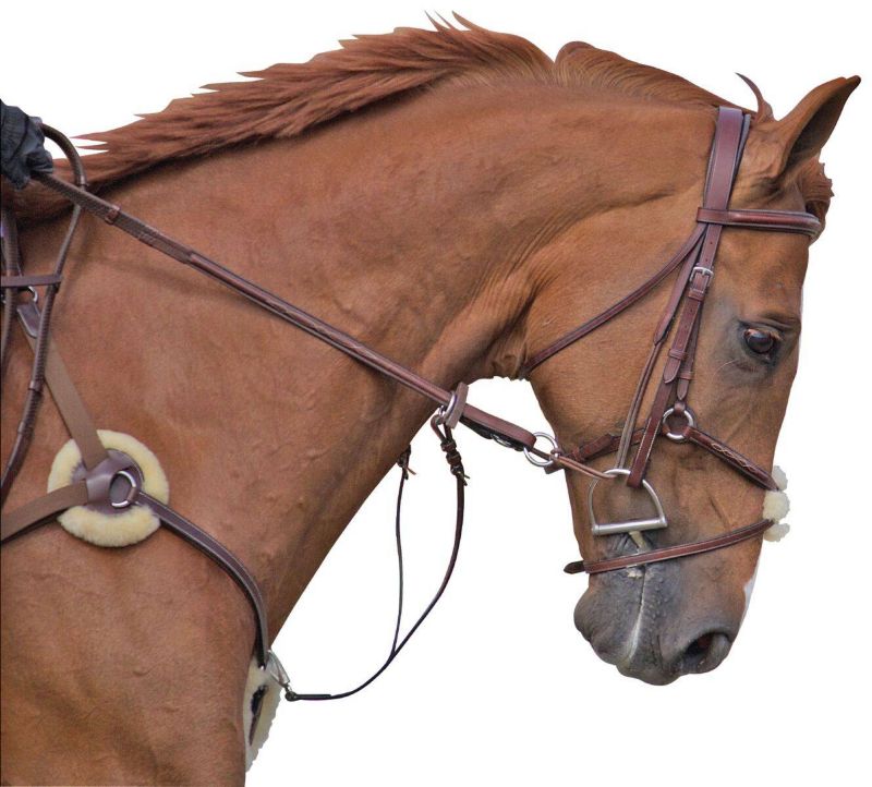 M. Toulouse 5 Point Breastplate With Running Marti