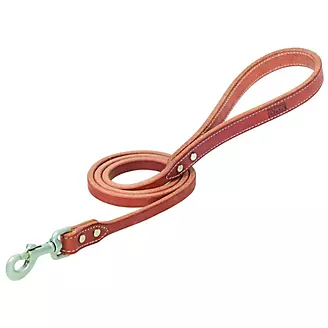 Dog Leads & Leashes for Sale - 1800PetSupplies.com