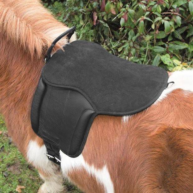 3551-BLK-ONESZ Shires Aviemore Pony Pad Black sku 3551-BLK-ONESZ