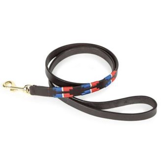 Polo dog collar and 2024 lead