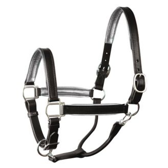 How to care for your leather halter