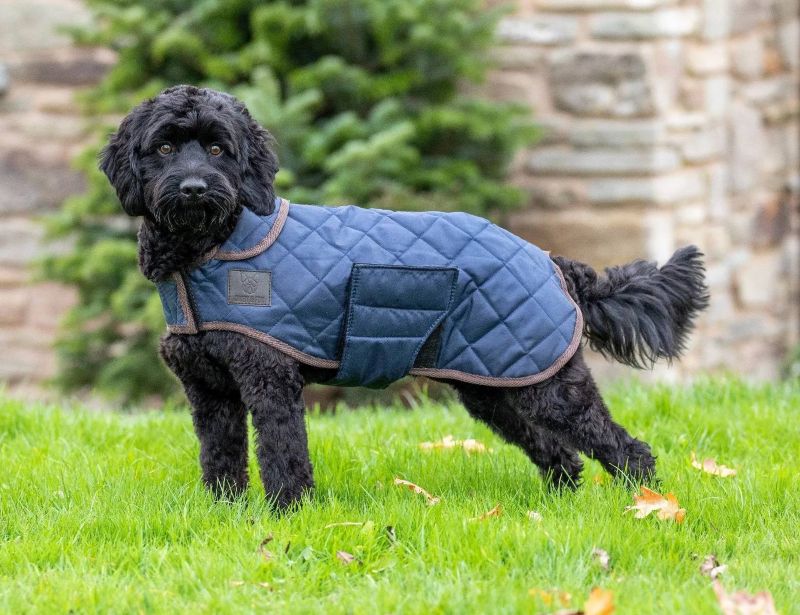 Shires Digby Fox Quilted Dog Coat WarehouseOutlet