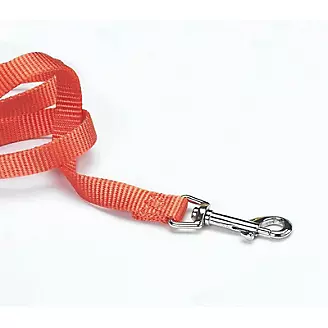 Nylon Lead With Snap For Dogs 4Ft Mango