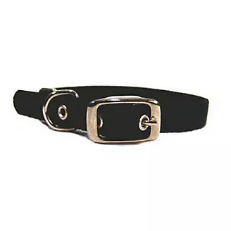 Single Nylon Dog Collar 2x0.25x0.25 Black