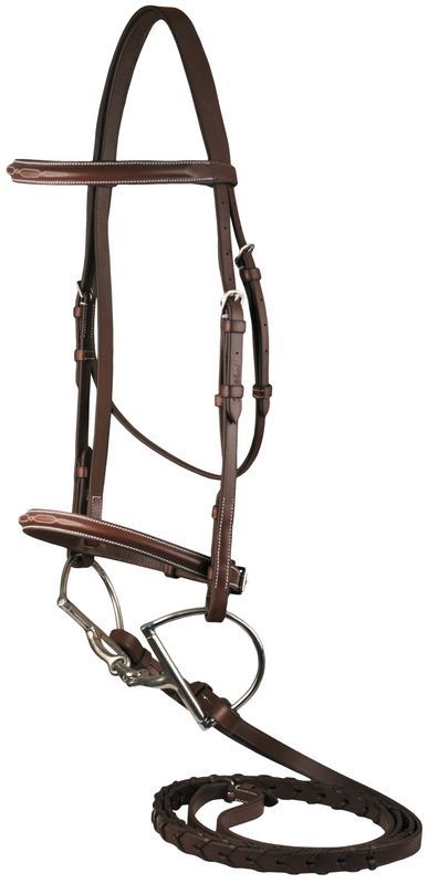 pony bridle