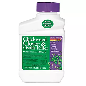 Chickweed Clover Oxalis Killer Concentrate