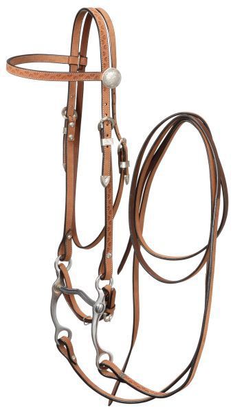 Horse Roughout Browband Bridle Horse