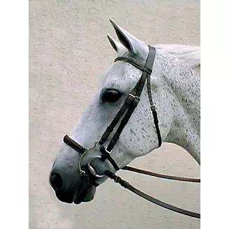 Aston & Mander Double Sided Horse Measuring Rule, 948040