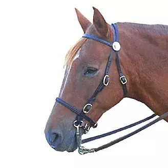Leather Trail Bridle