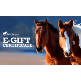 Horse Com Gift Certificate Horse Com