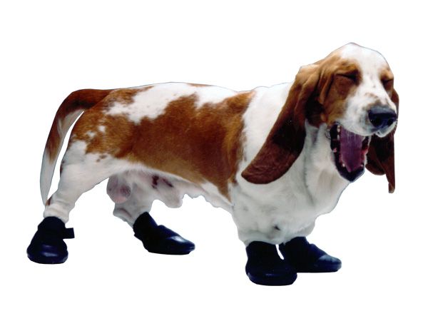 walkabout dog boots