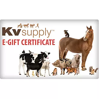 KVSupply.com eGift Certificate