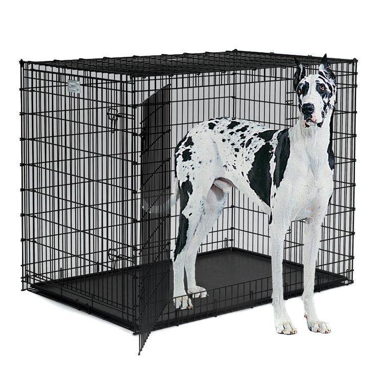 2 door dog crate