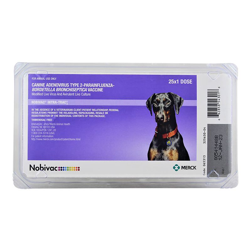 Dog Vaccines Bordetella More KVSupply