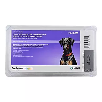 Nobivac Intra-Trac 3 25x1ml Vials Canine Vaccine