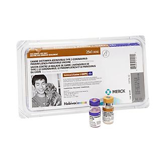Nobivac 1 DAPPv+Cv 25x1ml Vials Canine Vaccine
