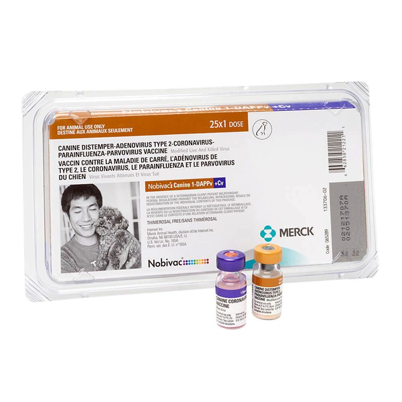 Nobivac 1 DAPPv+Cv 25x1ml Vials Canine Vaccine -  PET'S CHOICE PHARMACY, SHGH