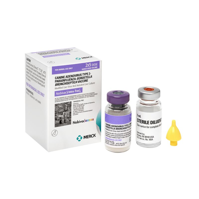 Nobivac Intra-Trac 3 2x5ml Vials Canine Vaccine - KVSupply.com