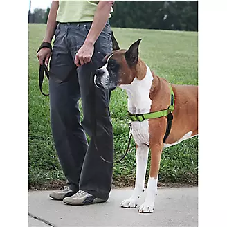 PetSafe Deluxe Easy Walk Harness - Medium, Steel