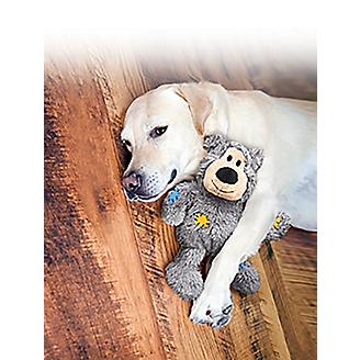 Kong Wild Knot Bear Dog Puppy Toy small medium large extra large plush