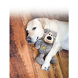 KONG Wild Knots Plush Bear Dog Toy 