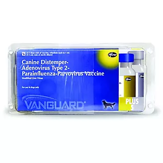 Vanguard Plus 5 25x1ml Vials Canine Vaccine