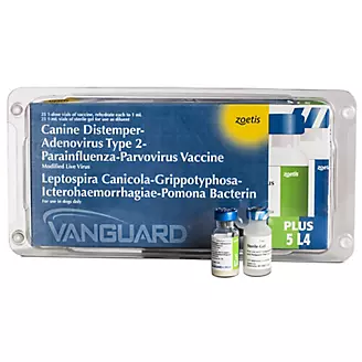Vanguard Plus 5 L4 25x1ml Vials Canine Vaccine