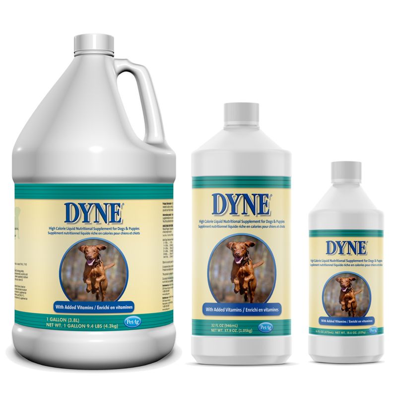 dyne liquid supplement