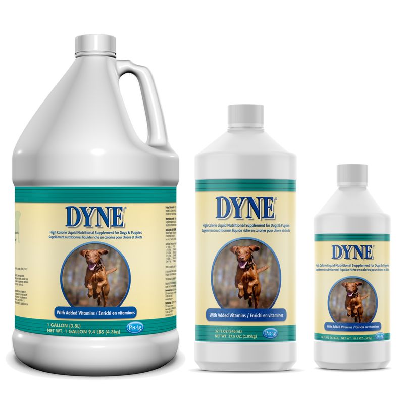 dyne high calorie supplement