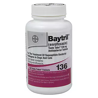 Baytril Taste Tablets 136mg