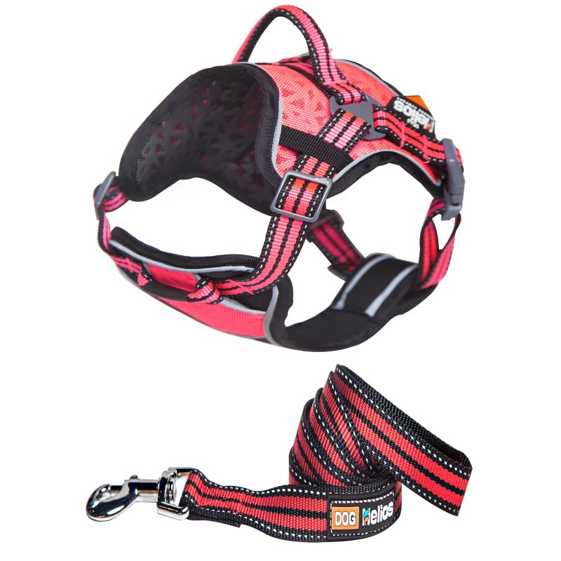 dog leash harness combo