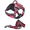 Helios Dog Pet Harness and Leash Combo