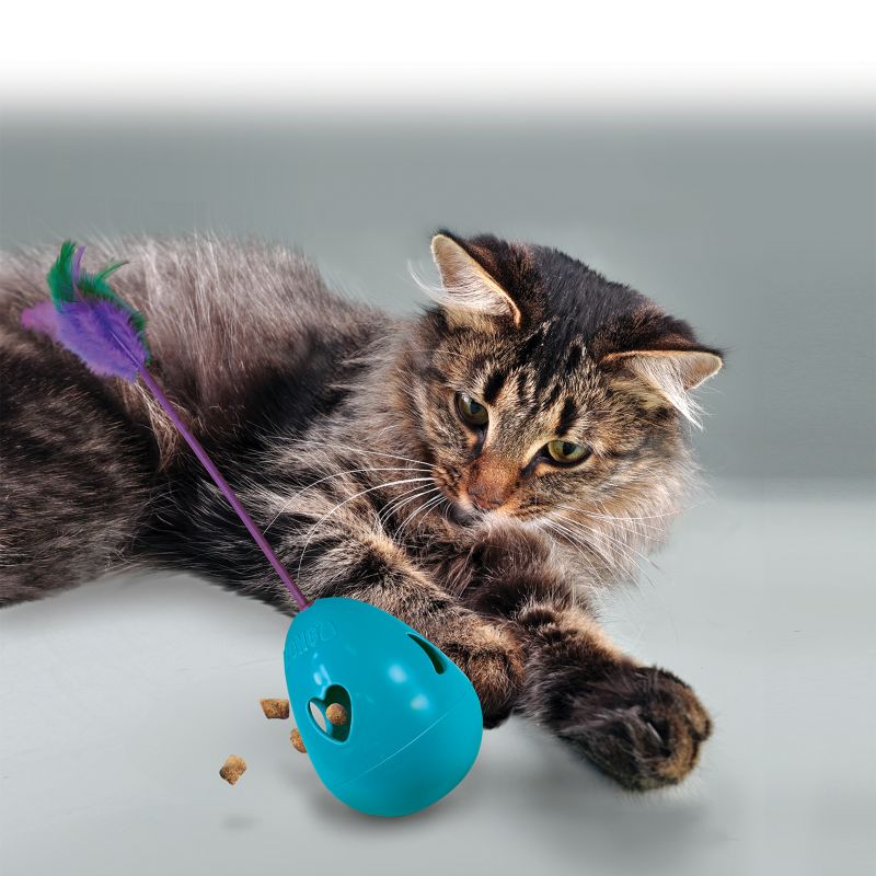 kong treat ball for cats