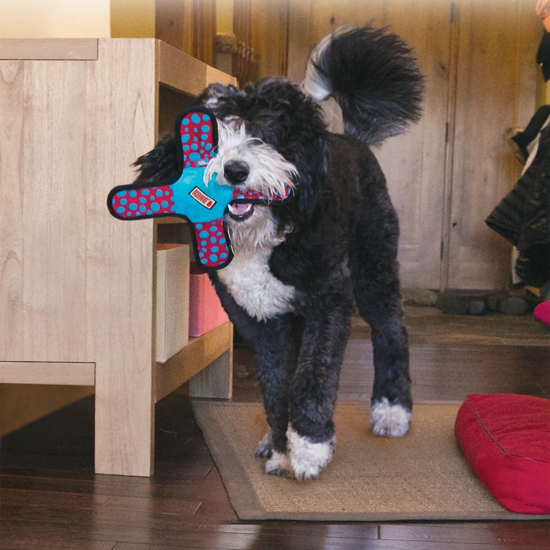 kong ballistic flatz