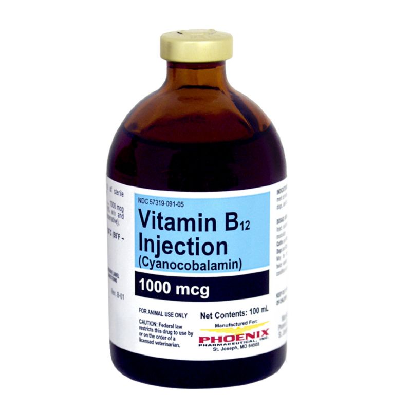 b12 vitamin for dogs