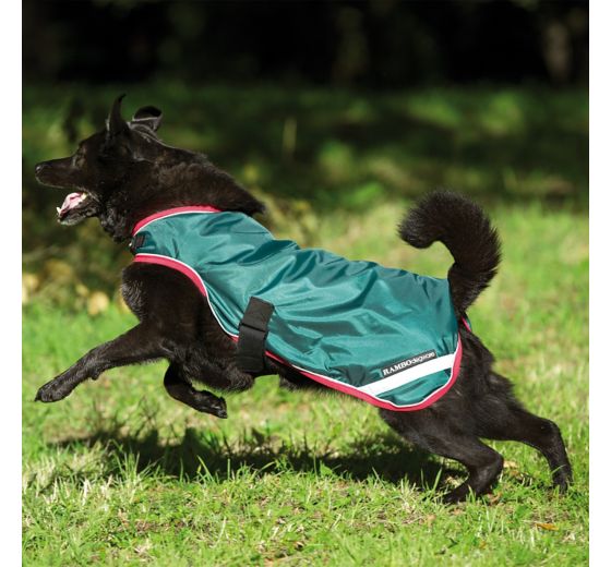 Raincoats