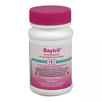 Baytril Purple Tablets 68mg