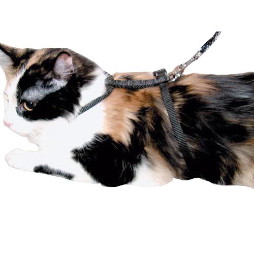 Adjustable Cat Harness Black